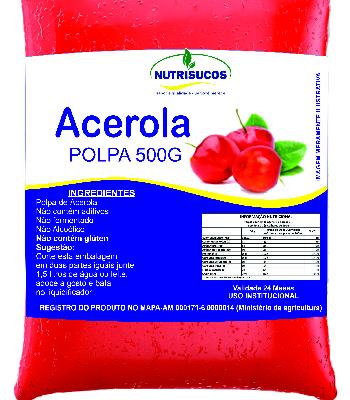 Imagem de Polpas de Frutas 500g