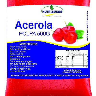 Imagem de Polpas de Frutas 500g