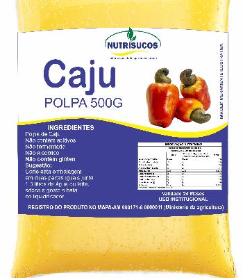 Imagem de Polpas de Frutas 500g