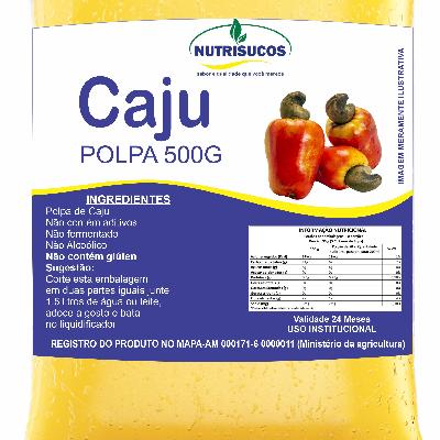 Imagem de Polpas de Frutas 500g