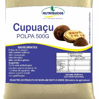 Imagem de Polpas de Frutas 500g